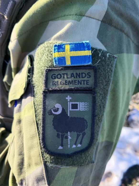 Die schwedische Flagge und das Wappen des Gotland-Regiments.