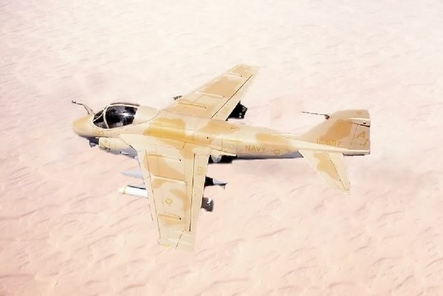 Grumman A-6 Intruder.
Wenn Flugzeugtarnung wirklich funktioniert. 
https://www.gengriz.co.uk/Rifrafweb/rifraf2a.htm