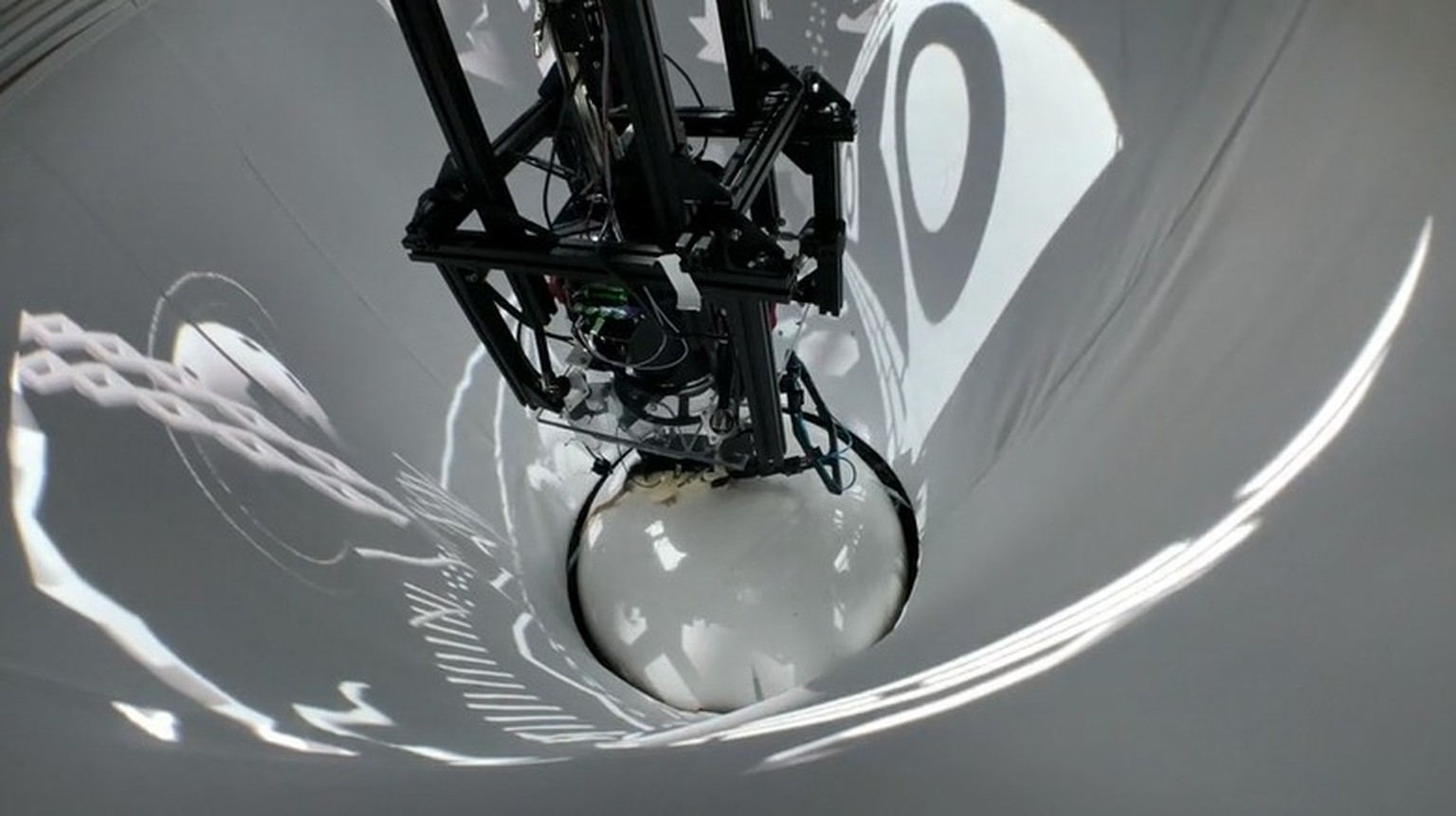 Rat in the experimental setup of the VR arena.