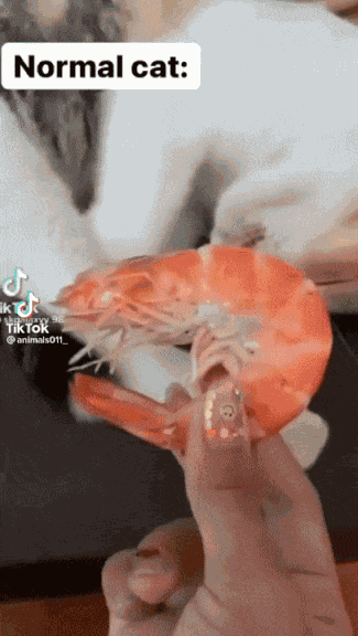 Animiertes GIF