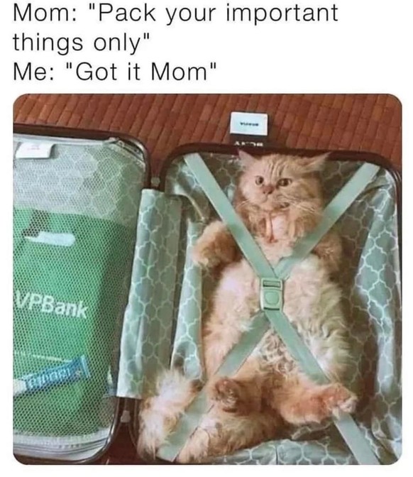 picdump

https://www.instagram.com/p/Cnhr6iBOLRn/