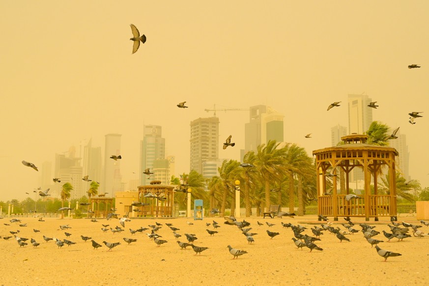 epa09267106 Pigeons flys during a dust storm in Kuwait City, Kuwait, 13 June 2021. Kuwait temporarily suspended marine traffic due to bad weather and low visibility. EPA/NOUFAL IBRAHIM