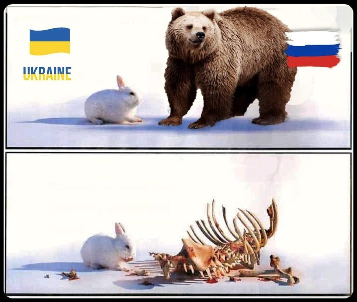 Ukraine-Meme