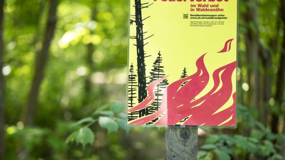 Feuerverbot! Vor 1. August steigt in vielen Kantonen die Waldbrandgefahr