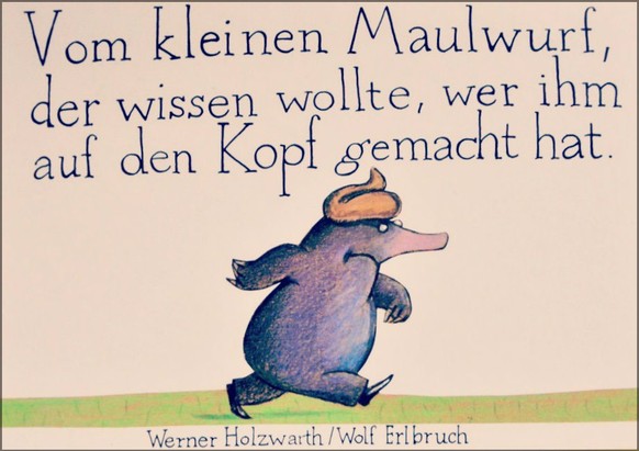 Das ist bereits das Original. Kot-Kunde für Kinder.