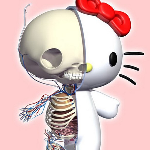 Und noch ein Beweis: Ein Röntgenbild von Hello Kitty – so sieht schliesslich keine Katze aus.