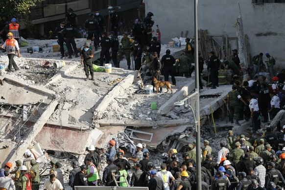 epa06214637 People try to rescue survivors from a collapsed building after a 7.1 magnitude earthquake in Mexico City, Mexico, 19 September 2017. At least 119 people died in the states of Morelos, Pueb ...