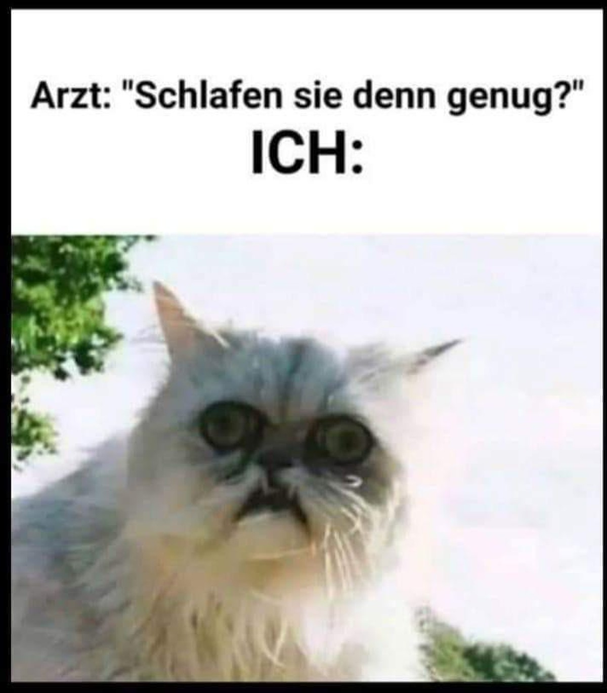 PICDUMP 404 вЂ“ Harold not found\nрџ¤·рџЏ»вЂЌв™ЂпёЏ