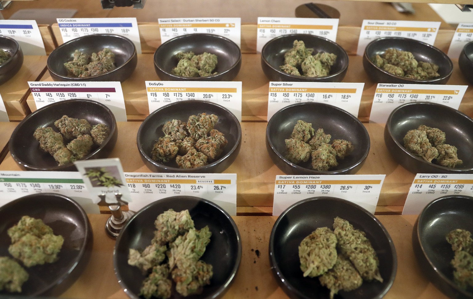 epa06412914 Cannabis samples on display at the Harborside cannabis dispensary in Oakland, California, USA, 01 January 2018. In November 2016, California voters legalized recreational marijuana for adu ...