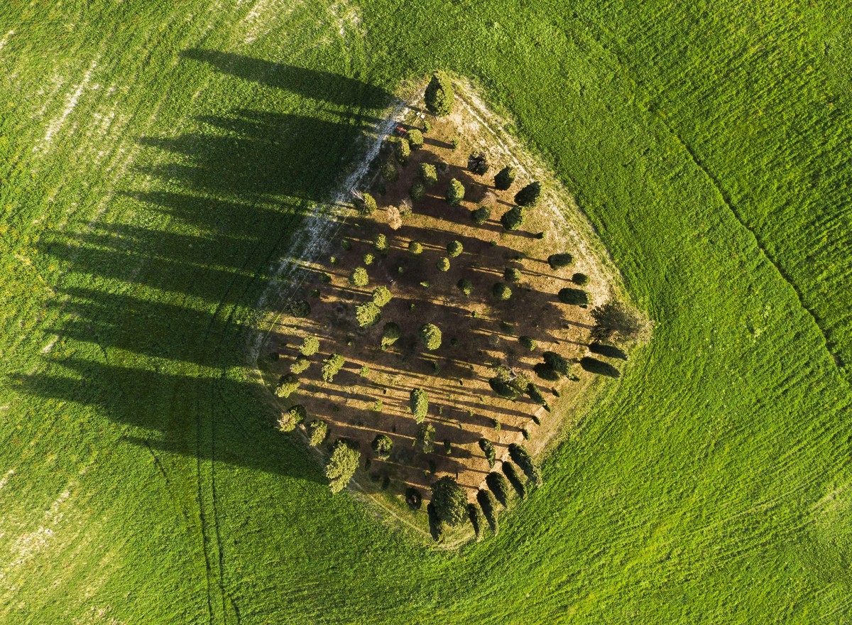 epa08409206 A zenith aerial view of cypress trees on top of a hill along with the Via Francigena ancient road and pilgrim route, near Torrenieri, in Tuscany's Valdorcia region, central Italy, 05  ...