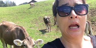 3427 Gründe, wieso du Angst vor Kühen haben solltest