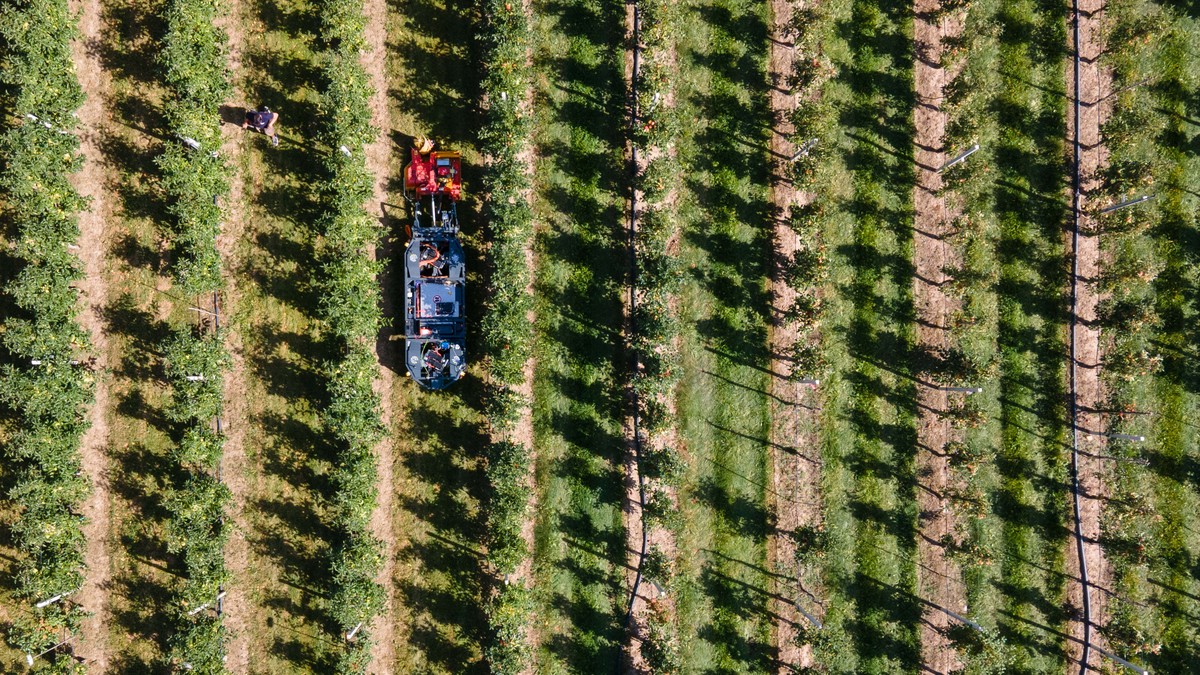 Umnutzung der Landwirtschaftszonen: Stände- und Nationalrat im Streit