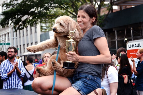 Dog Fashion Show, Hunde Fashion Show, NYC, Moose