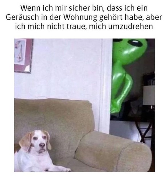 Die lustigsten Memes &amp; Bilder aus dem Internet