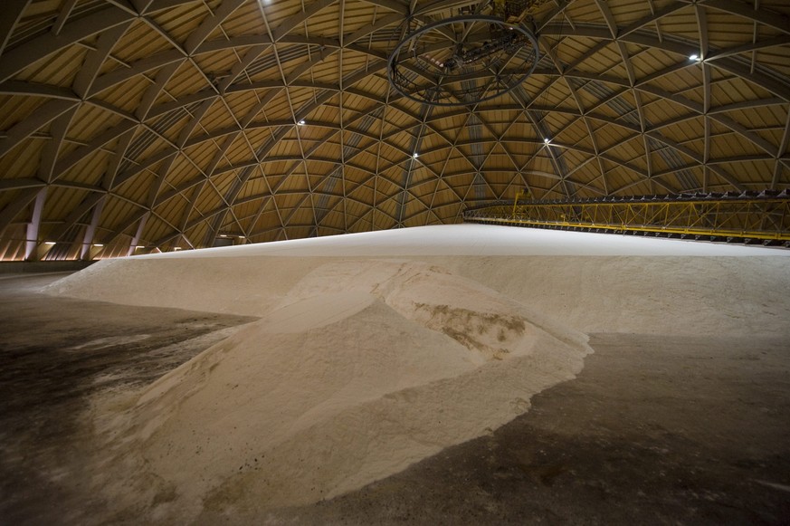 31 Meter hoch, 93 Meter Durchmesser: Der Saldome der Saline Riburg in Möhlin ist der grösste Kuppelbau der Schweiz.