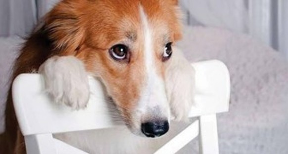 PICDUMP! (Der letzte vor meiner «Recherche»! 🧐)
Du lina schüchi frog, könnt ihr nicht an Silvester (aka der Geburtstag der bestesten) ein best of picdump slideshow machen?