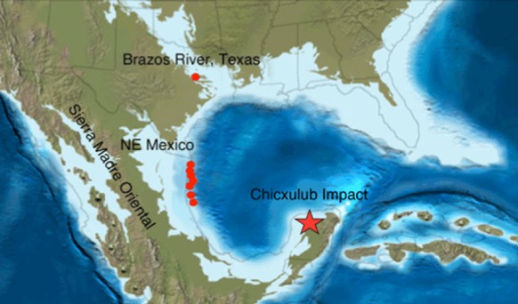 Paleogeographic reconstruction of Central and North America with locations Brazos River, Texas, and NE Mexico sections and the Chicxulub impact crater. Paleomap from Blakey, R., NAU Geology website.
h ...