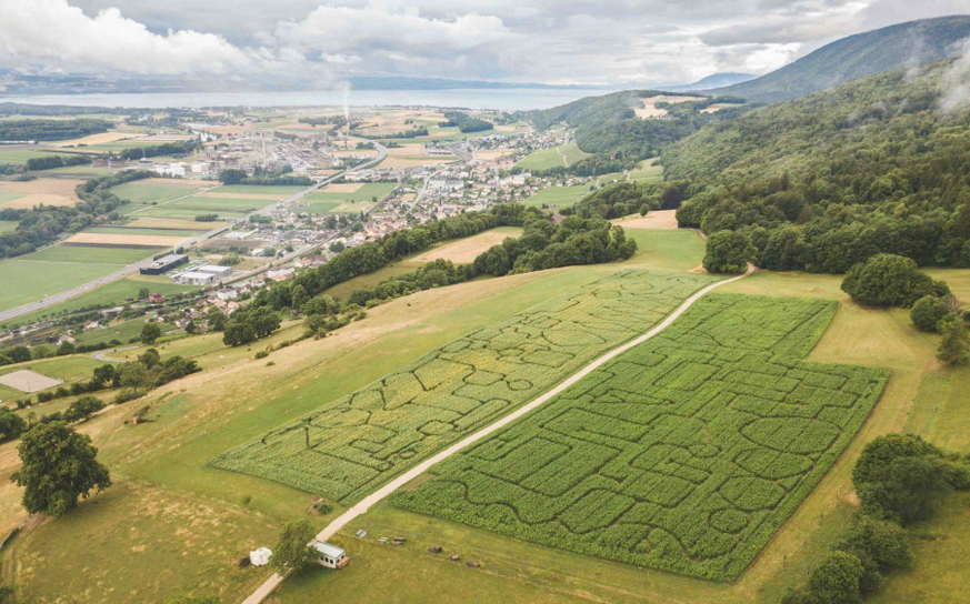 Domaine Bel-Air Le Landeron Labyrinth Maislabyrinth Schweiz