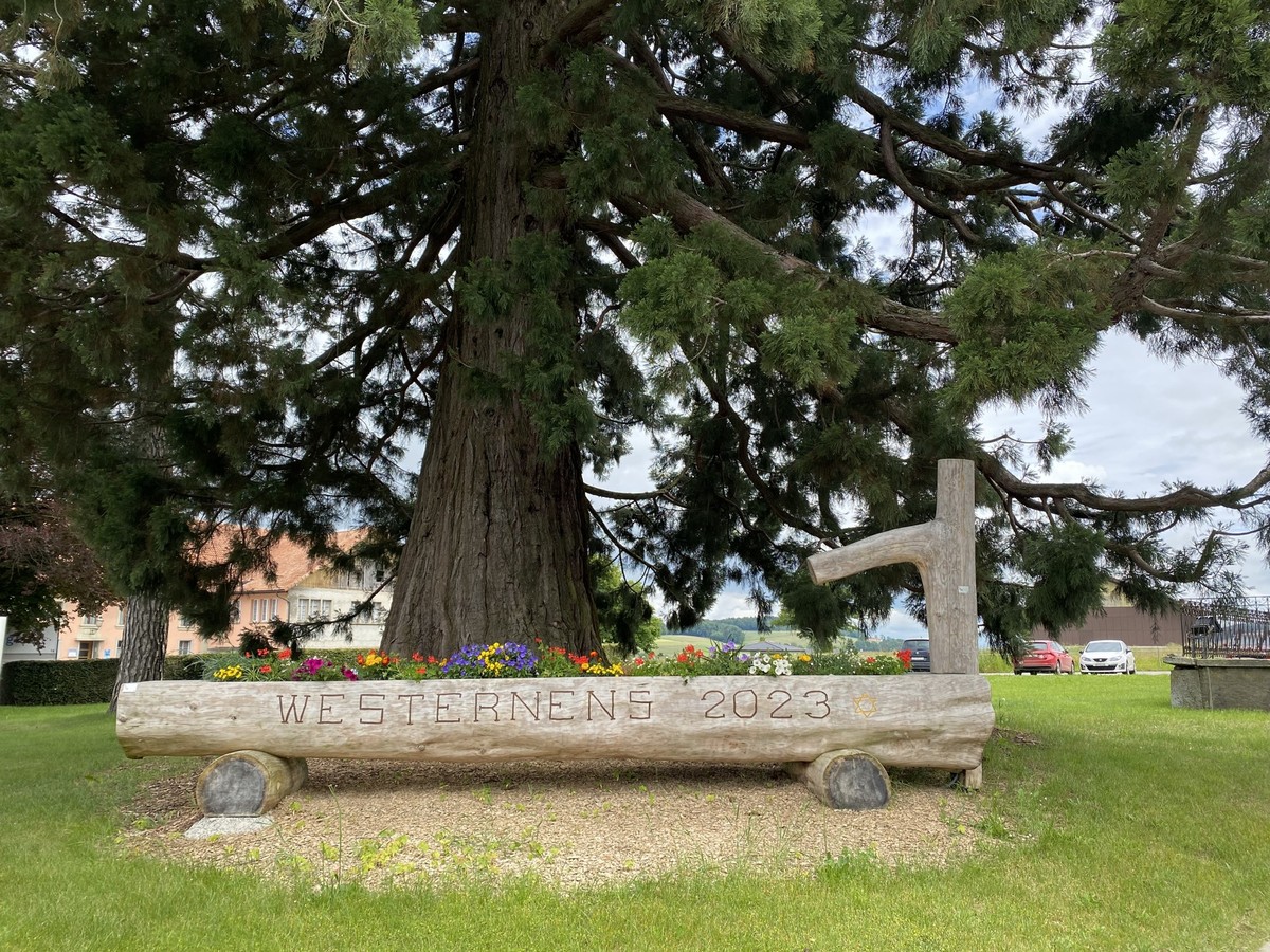 La commune de Vuisternens-devant-Romont a voté contre l'initiative pour l'approvisionnement en électricité.