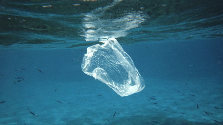 Plastik, der ins Meer gelang, verrottet nicht, sondern zerfällt zu immer kleineren Plastikteilchen.