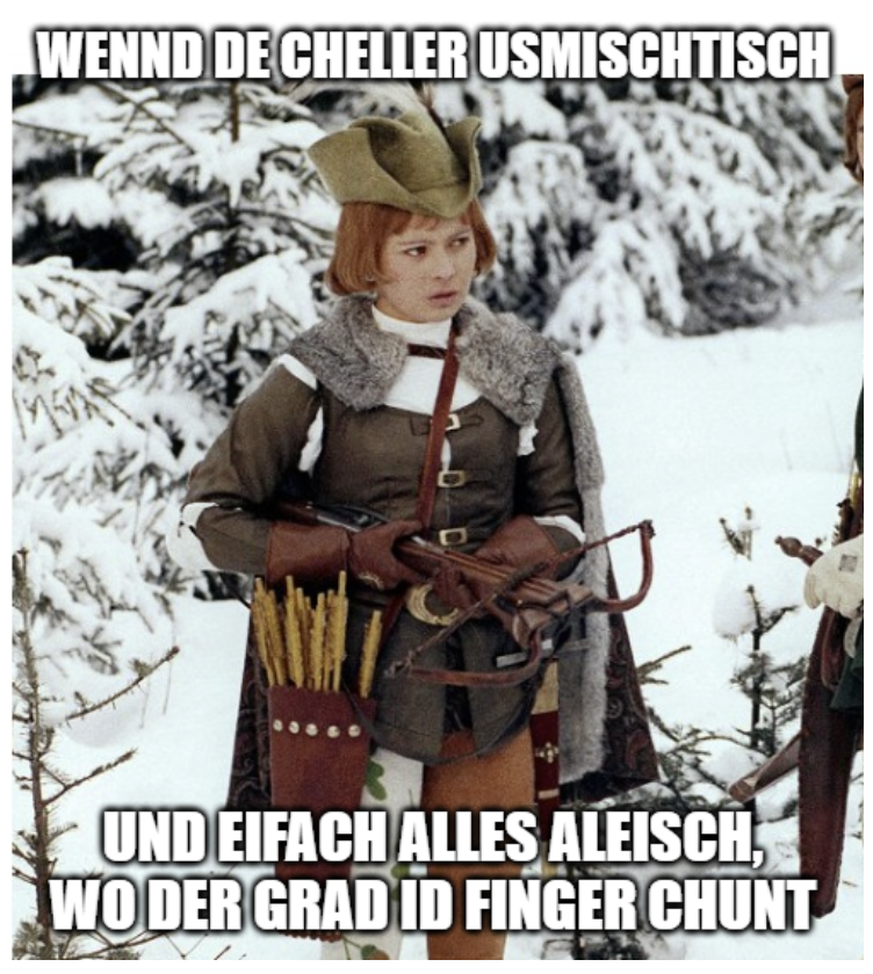 Aschenbrödel Memes