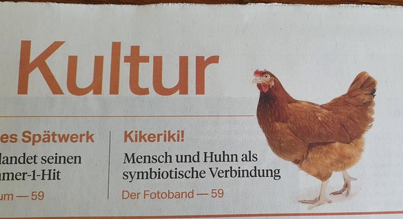 Die Wünsche der User sind unergründlich ... PICDUMP!
1 dicken Huhn ist Kultur.