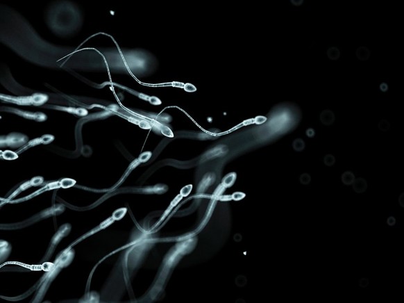 Human sperm, computer artwork.