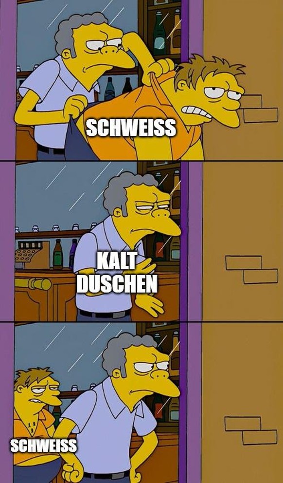 sommer memes