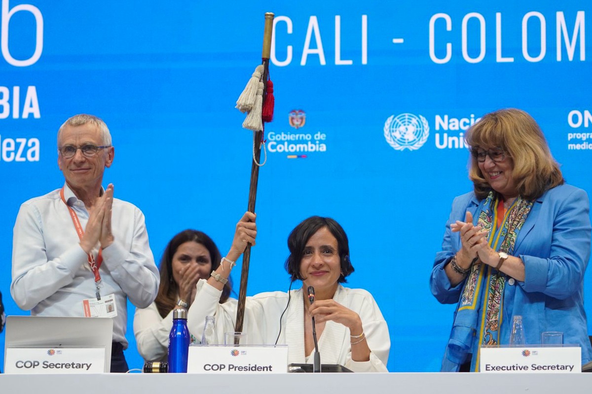epa11698000 A handout photo made available by the COP16 Press showing Colombian Minister of Environment and Sustainable Development, Susana Muhamad (2-R), holding a cane during a session of the UN Con ...