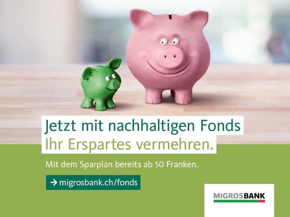 Editorial Bild