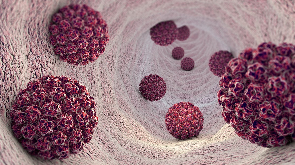 HPV