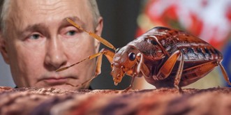 Wie Putin die Bettwanzen-Panik schürte