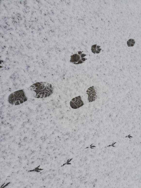 Die schÃ¶nsten Winterbilder aus jedem Kanton\nIrgendwo ð¤·ð¼ââï¸ð