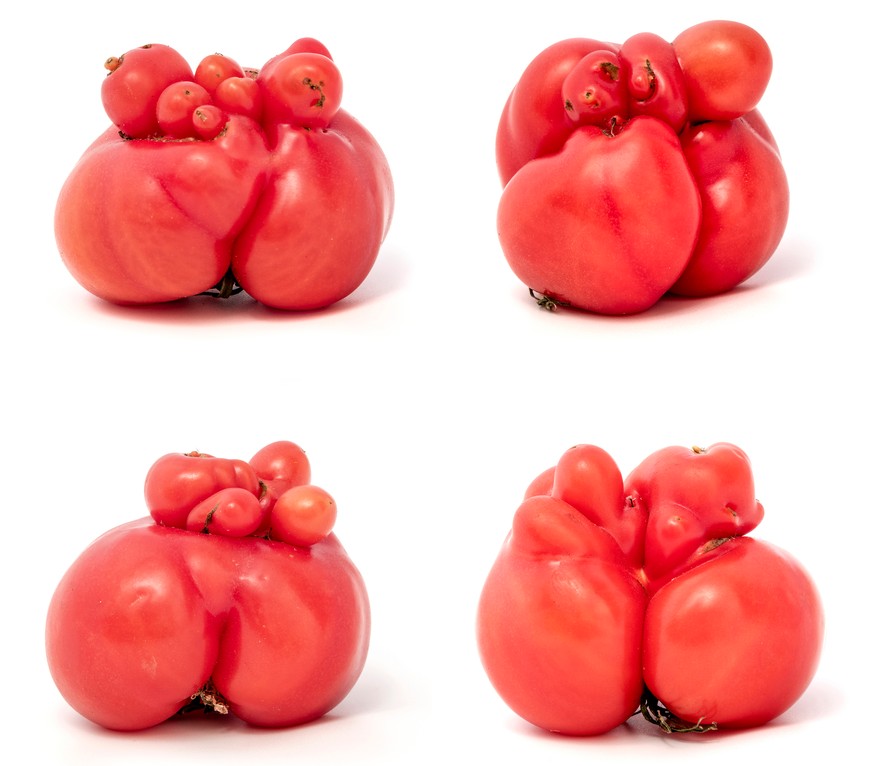 tomaten essen food form bio shutterstock