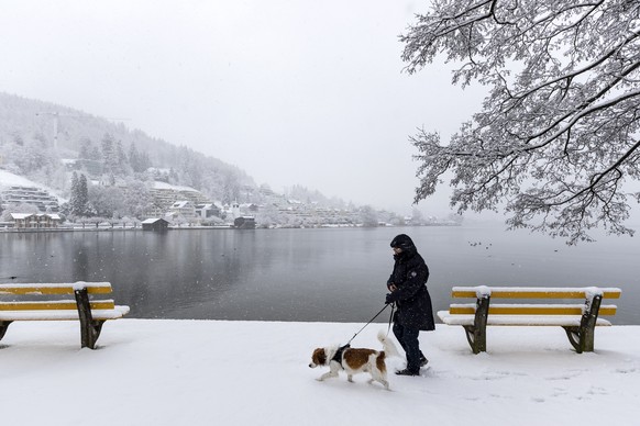 Eine Frau laeuft mit ihrem Hund beim ersten Schneefall in Unteraegeri dem Aegerisee entlang, aufgenommen am Dienstag, 1. Dezember 2020. (KEYSTONE/Alexandra Wey)