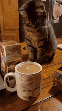 Animiertes GIF