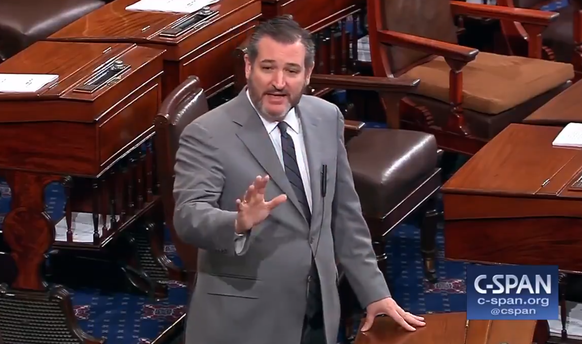 Ted Cruz unterstützt Trumps Mauerpläne.