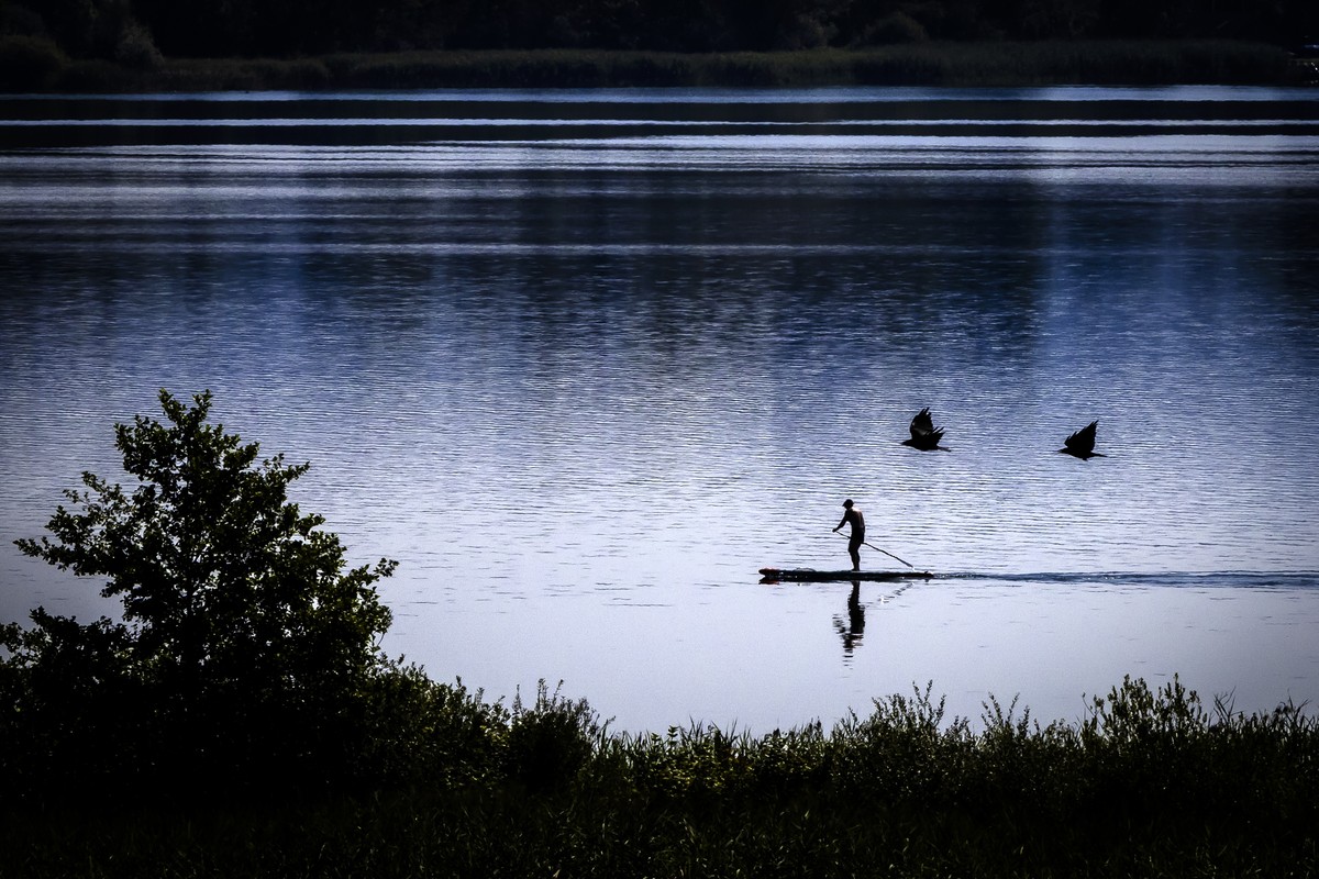 epa11508343 Birds fly past a person on a stand up paddle board on the lake Greifensee, in Faellanden, near Zurich, Switzerland, 30 July 2024. EPA/MICHAEL BUHOLZER