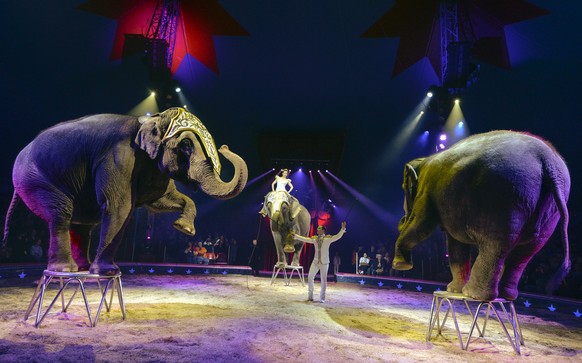 Elefanten im Zirkus Knie.