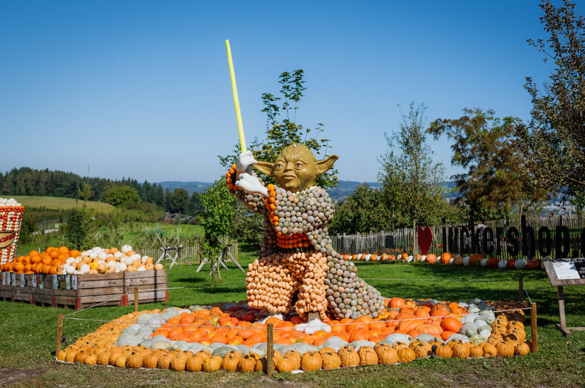 Kürbisausstellung 2024 - Yoda