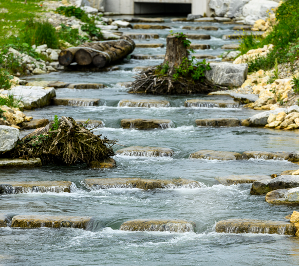 Der Fischpass des Kraftwerk Flumenthal der Alpiq Hydo AG, fotografiert am Donnerstag, 5. Juni 2025 in Flumenthal. Die Alpiq Hydro Aare AG hat den Fischpass des Kraftwerks Flumenthal im Kanton Solothur ...