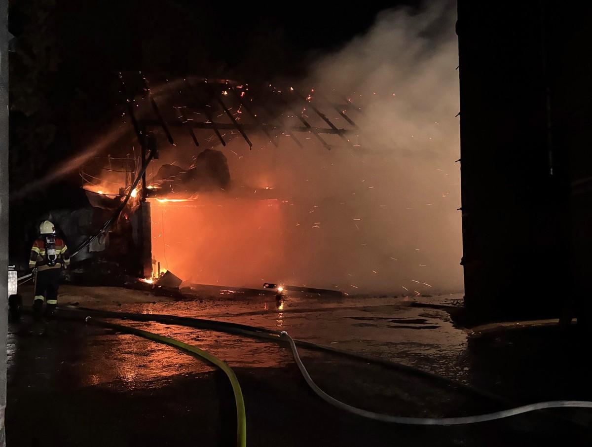 Brand tote Hühner