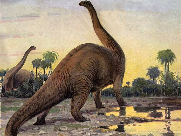 Brontosaurus