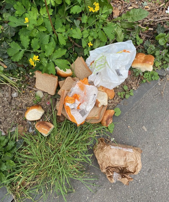 littering schweiz