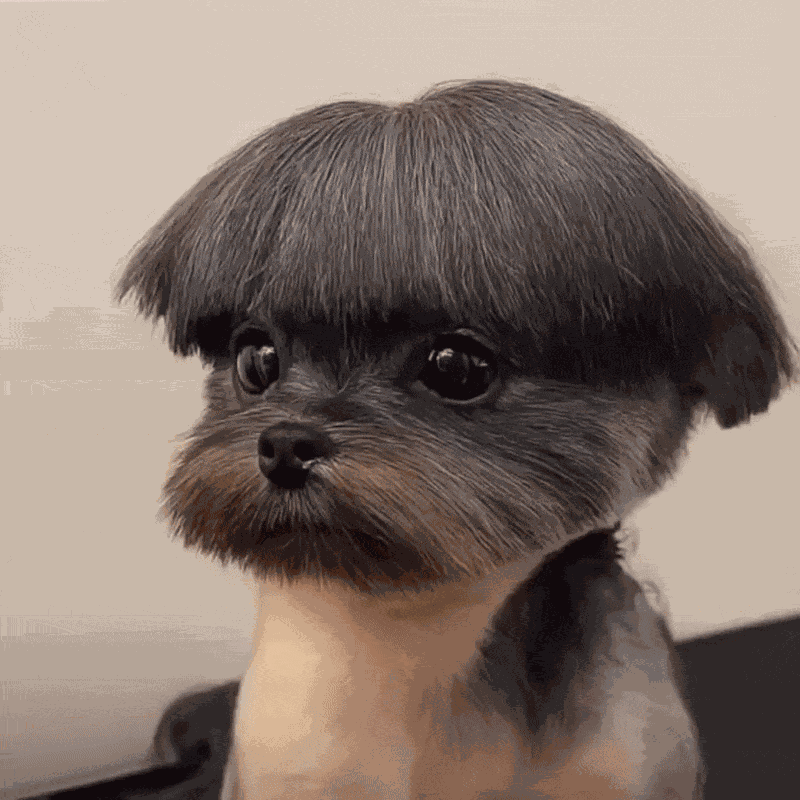 Animiertes GIF