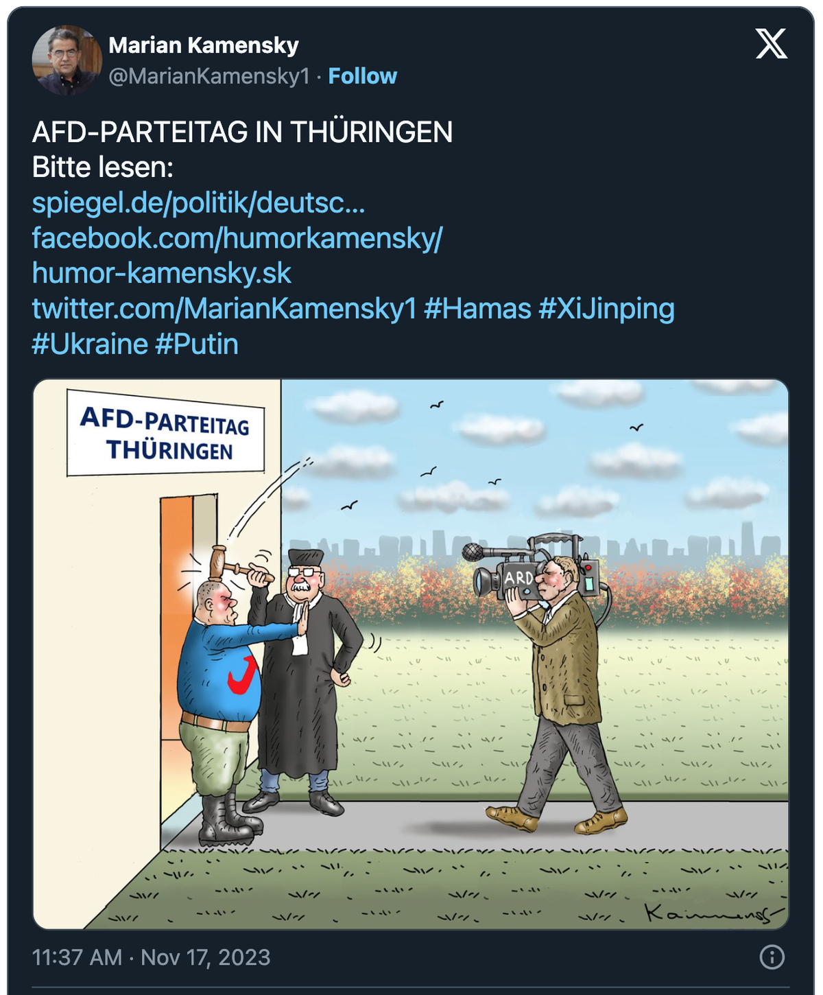Karikatur zu AfD-Gerichtsentscheid.