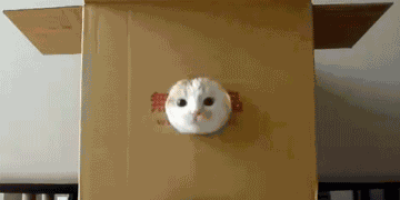 Animiertes GIF