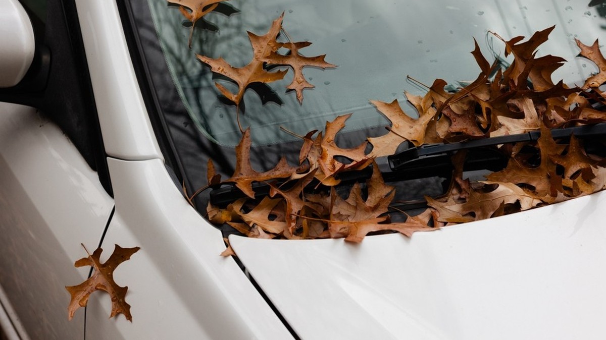 Comment rentrer chez soi sans accident cet automne, selon le TCS