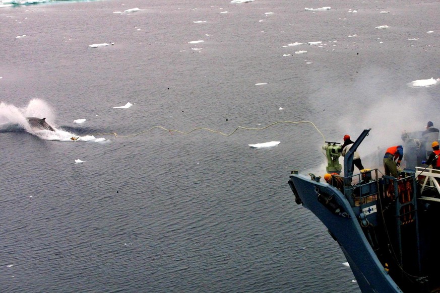 Archivbild: Ein Greenpeace-Foto zeigt ein japanisches Walfang-Boot.