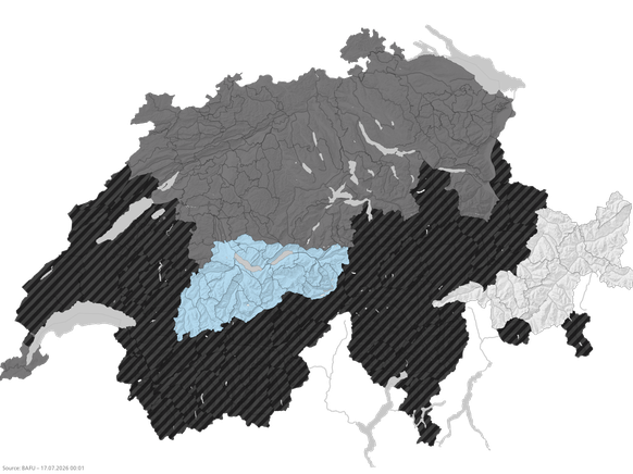 https://www.waldbrandgefahr.ch/